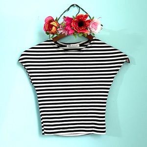 Zara Navy Stripes Top